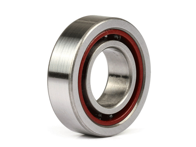 202531811219102 (1).jpg